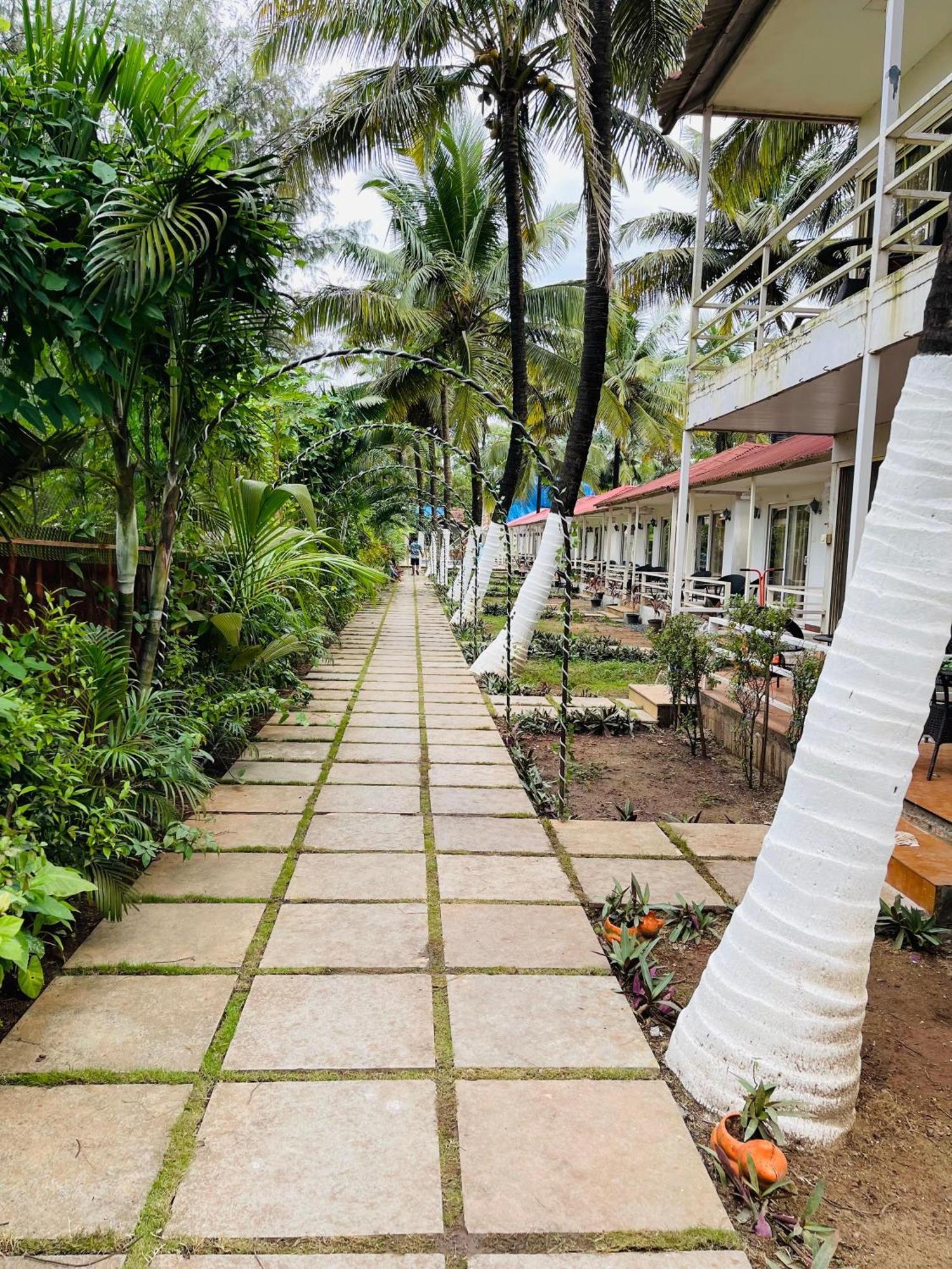 Arabian Sea Beach Resort Морджим Экстерьер фото