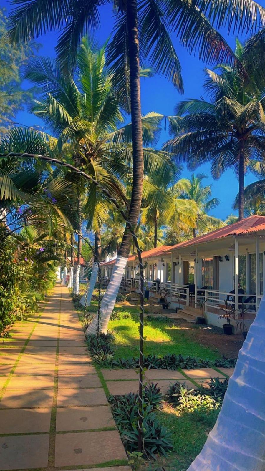 Arabian Sea Beach Resort Морджим Экстерьер фото